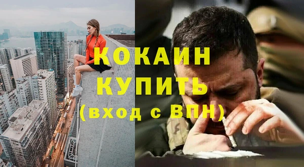 apvp Алзамай