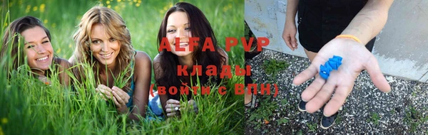 apvp Алзамай