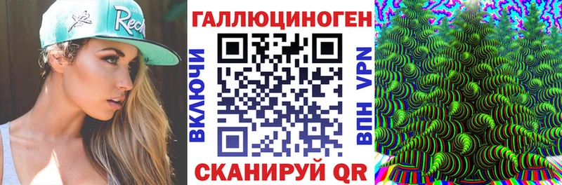 где купить наркотик  Курск  мега как зайти  Галлюциногенные грибы Psilocybine cubensis 